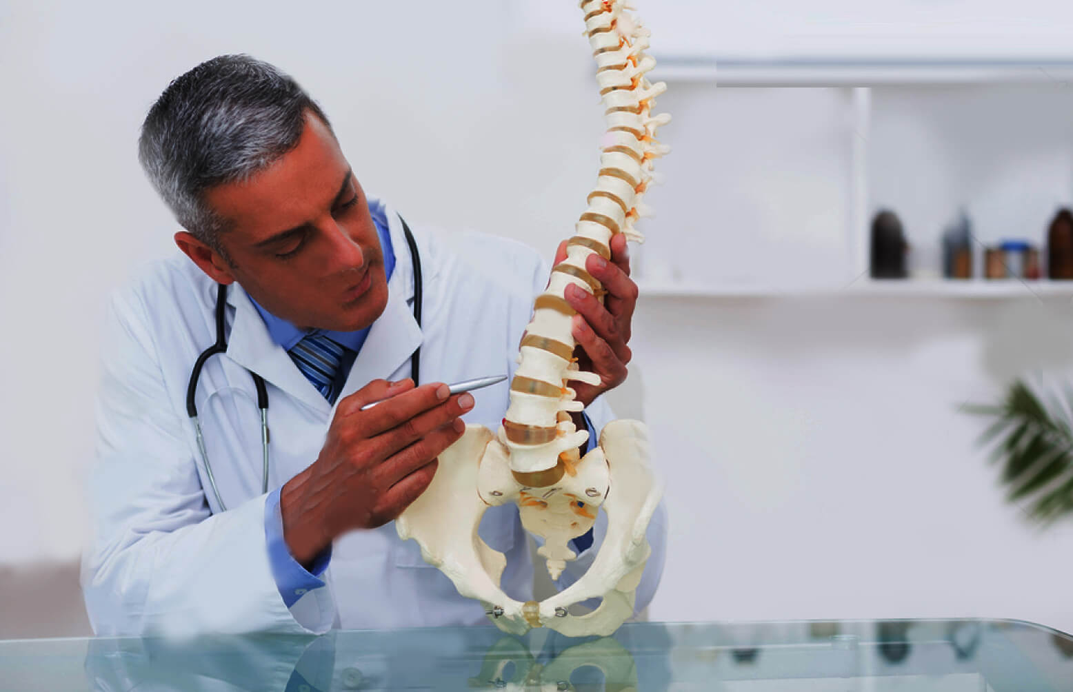 Being aware of what a Chiropractor Does