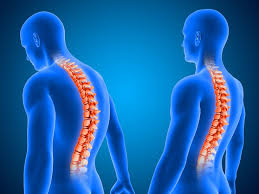 Improve your posture in 2025